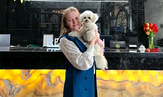 We Are Now a Pet-Friendly Hotel 